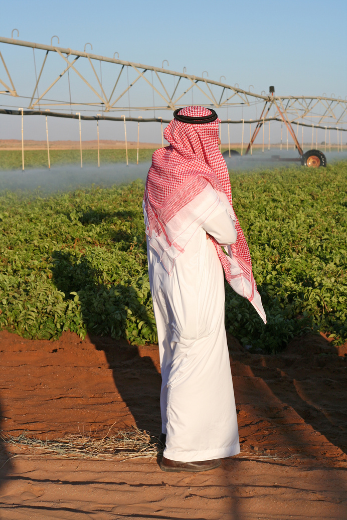 Saudi Arabian Man